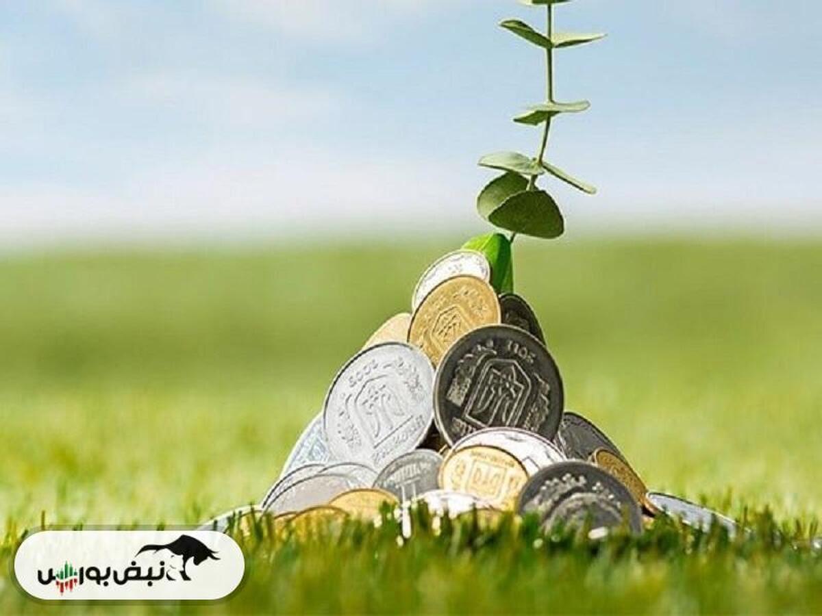 وفردا پیشنهاد افزایش سرمایه داد