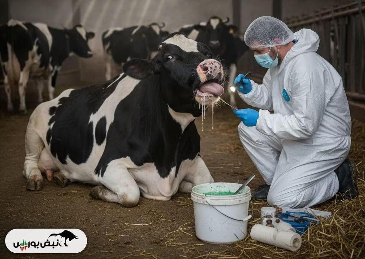 آمار نگران کننده از کاهش تولید شیر | استان‌هایی که درگیر تب برفکی شدند