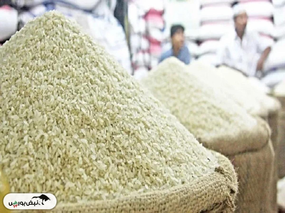 چرا قیمت برنج ایرانی به کیلویی ۳۰۰ هزار تومان رسید؟