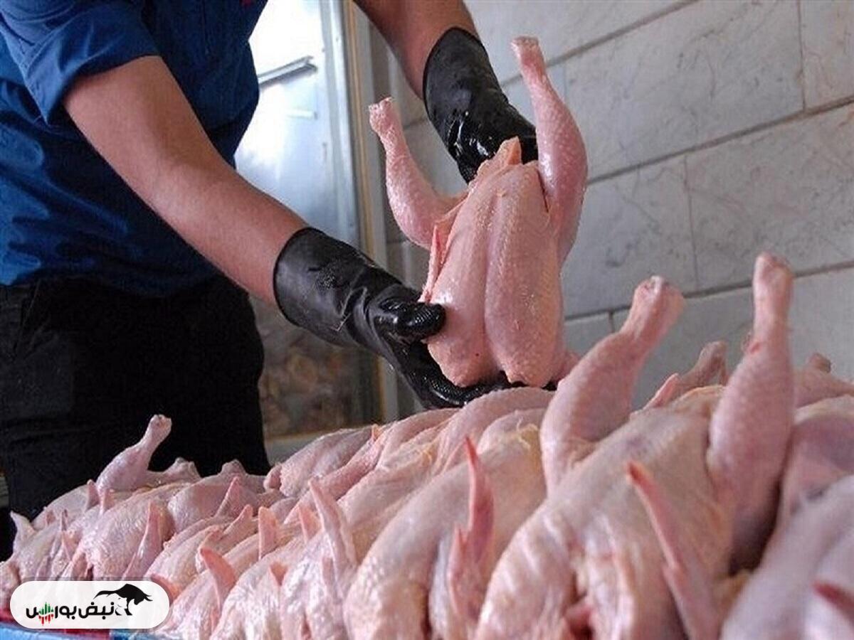 قیمت مرغ در بازار رکورد زد