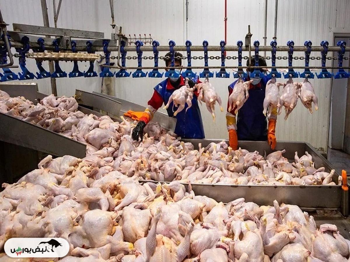 قیمت مرغ امروز ۷ آبان ۱۴۰۴