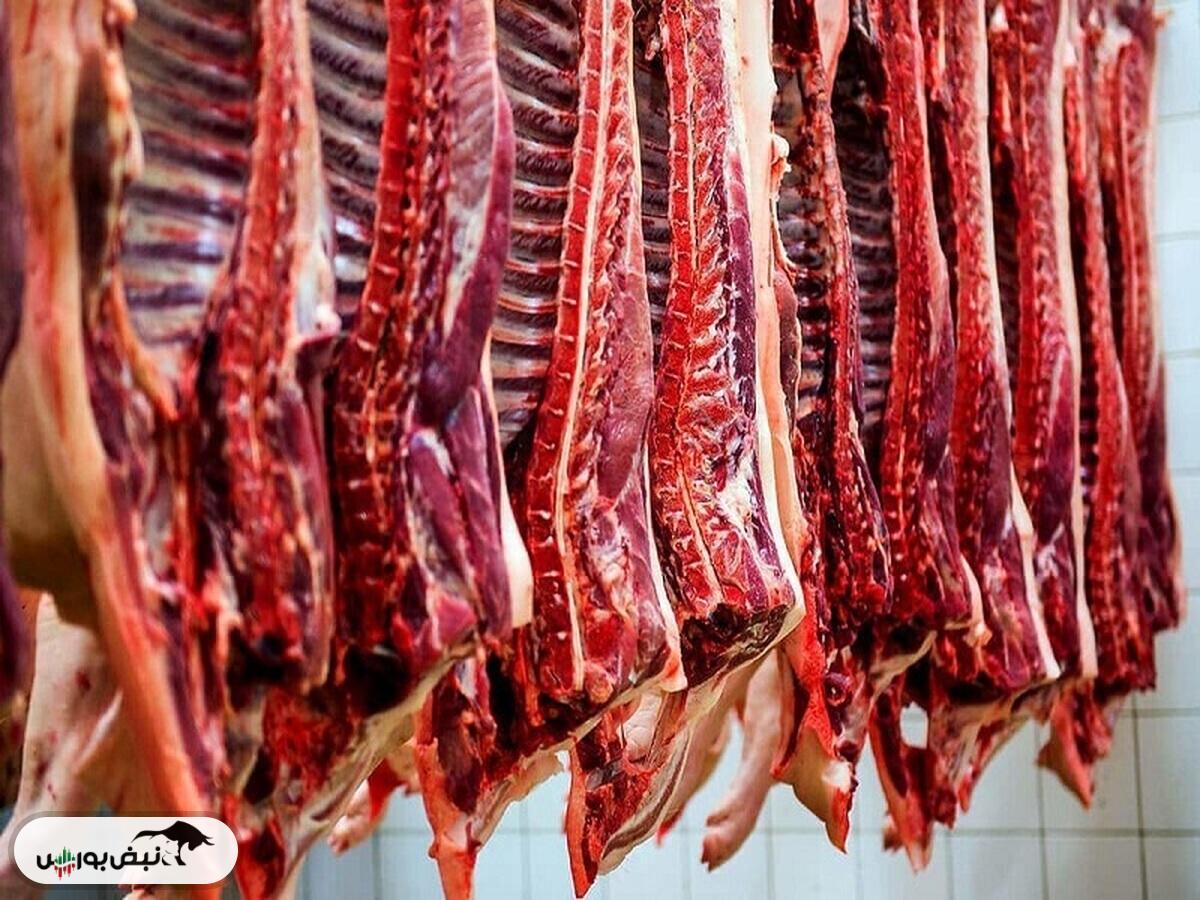 قیمت گوشت قرمز ۸ آبان ۱۴۰۴