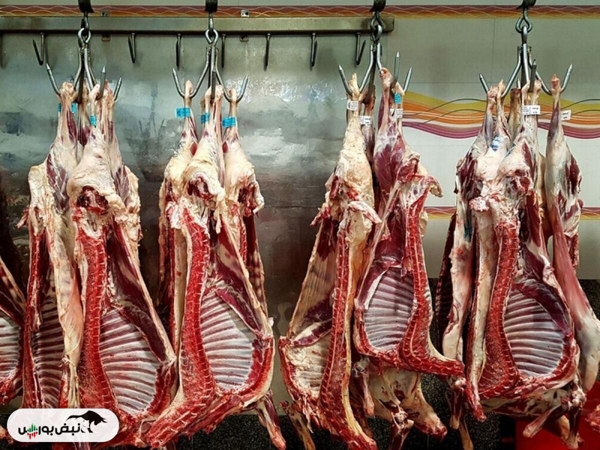 قیمت گوشت امروز ۸ آبان ۱۴۰۴