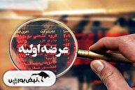 عرضه اولیه زفارس چهارشنبه هفته آینده | نقدینگی مورد نیاز عرضه اولیه زفارس