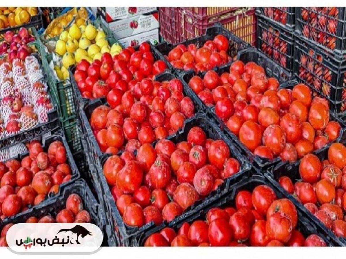 سندروم گوجه‌فرنگی در کشور