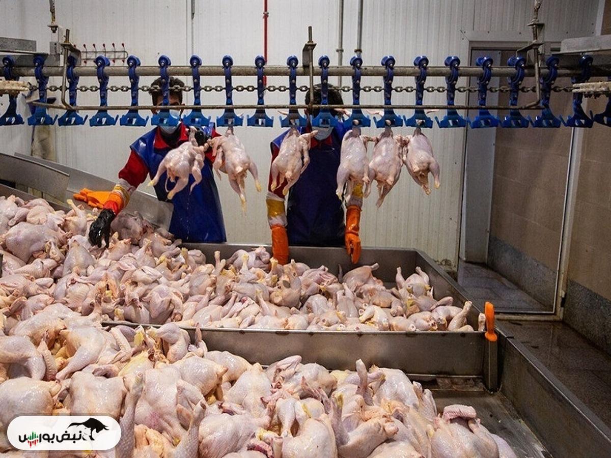 قیمت مرغ امروز ۱ آذر ۱۴۰۴