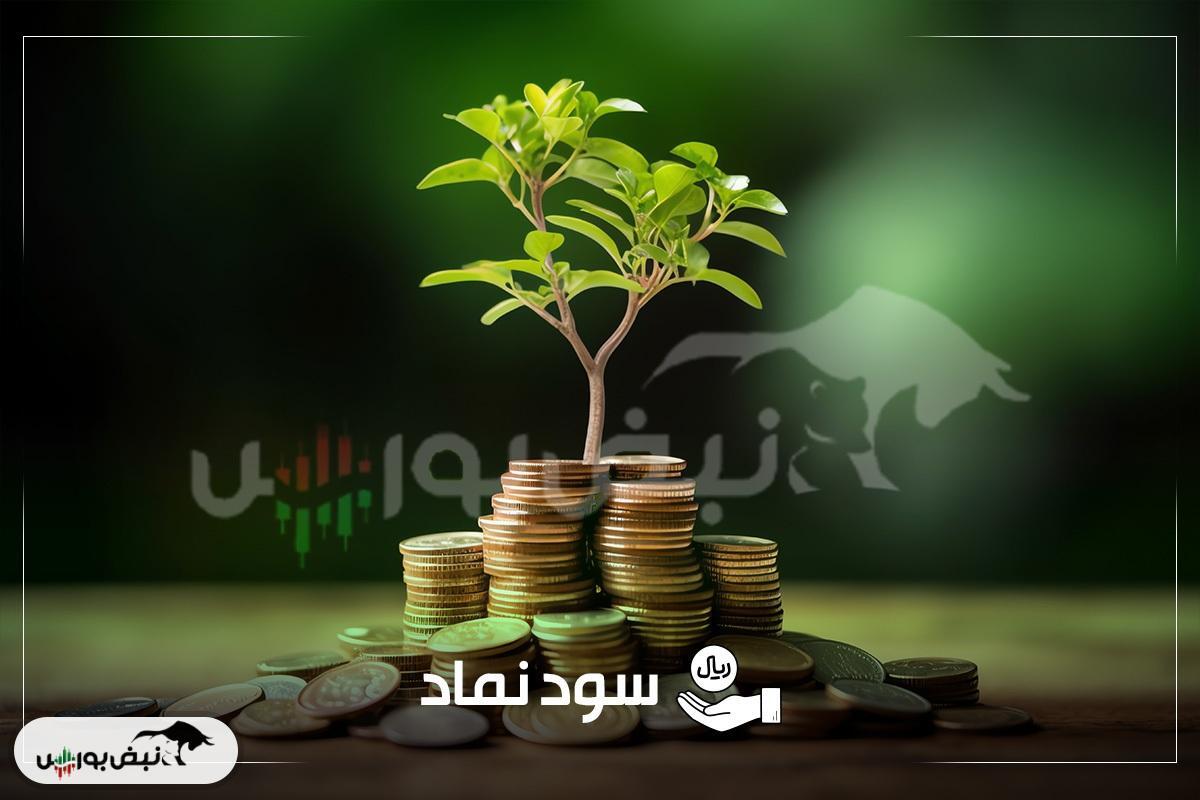 جزئیات واریز سود سهام ۸ نماد در هفته اول آذر | سود سهامداران کدام شرکت‌ها واریز شد؟