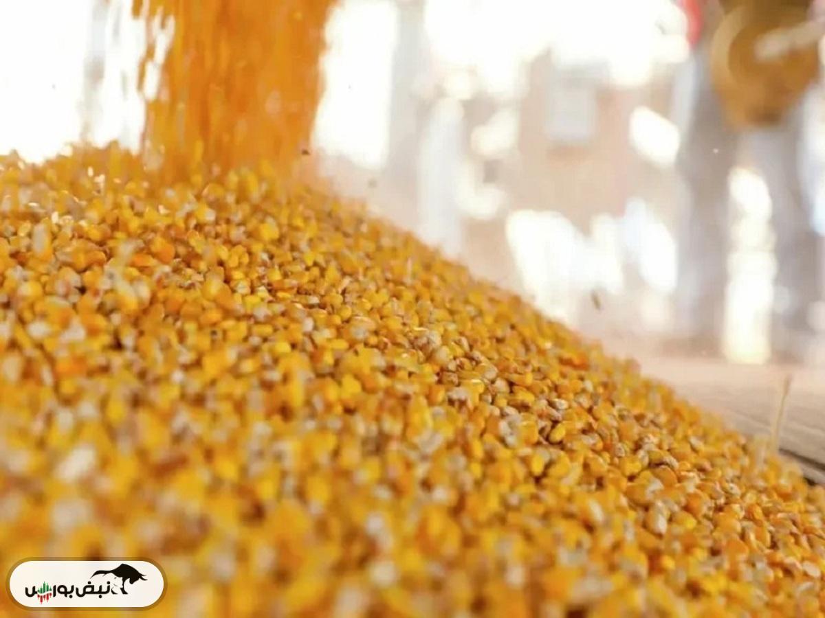 قیمت خرید تضمینی جو و ذرت ۲۳ هزار تومان تعیین شد