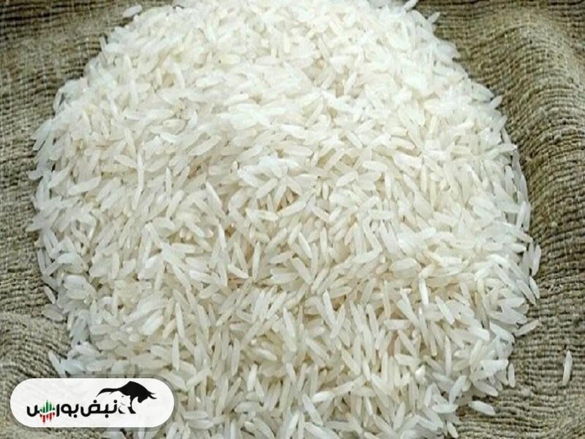 قیمت جدید انواع برنج ایرانی در بازار ۱۴۰۴/۰۹/۱۱