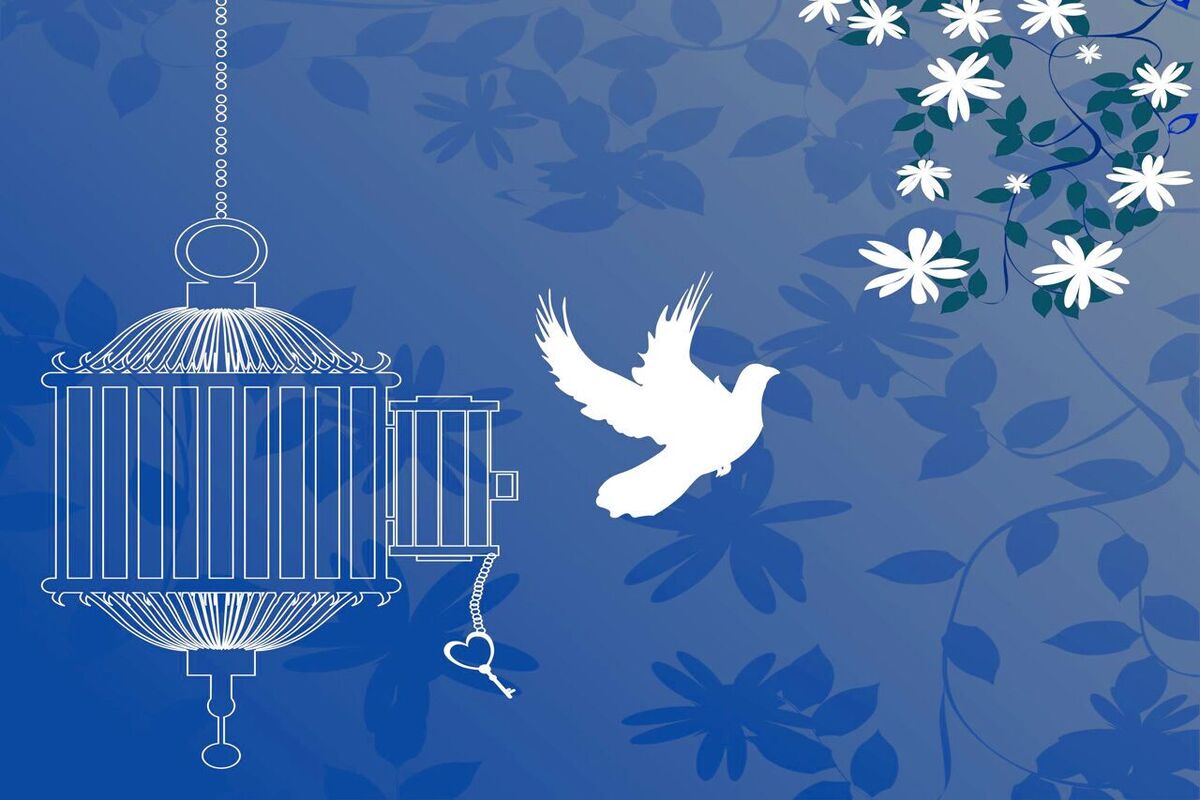 آزادی تمامی مادران زندانی جرائم مالی غیرعمد تا سقف 250 میلیون تومان به همت بانک پارسیان