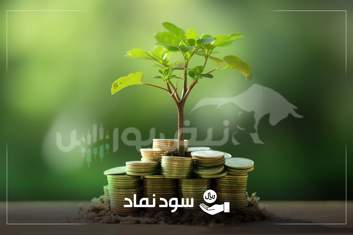 زمان پرداخت سود سهامی که هفته گذشته مجمع داشتند |سود این نماد در سال ۱۴۰۵ واریز می‌شود