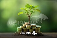 زمان پرداخت سود سهامی که هفته گذشته مجمع داشتند |سود این نماد در سال ۱۴۰۵ واریز می‌شود