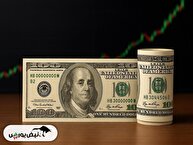 آیا دلار ۱۲۱ هزار تومانی واقعی نیست؟ بررسی مهم‌ترین اظهارات فرزین