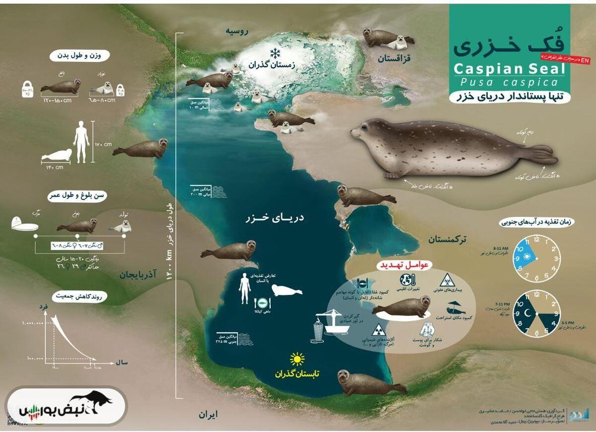 سقوط دریای خزر؛ تهدید خاموش برای تجارت و انرژی ایران
