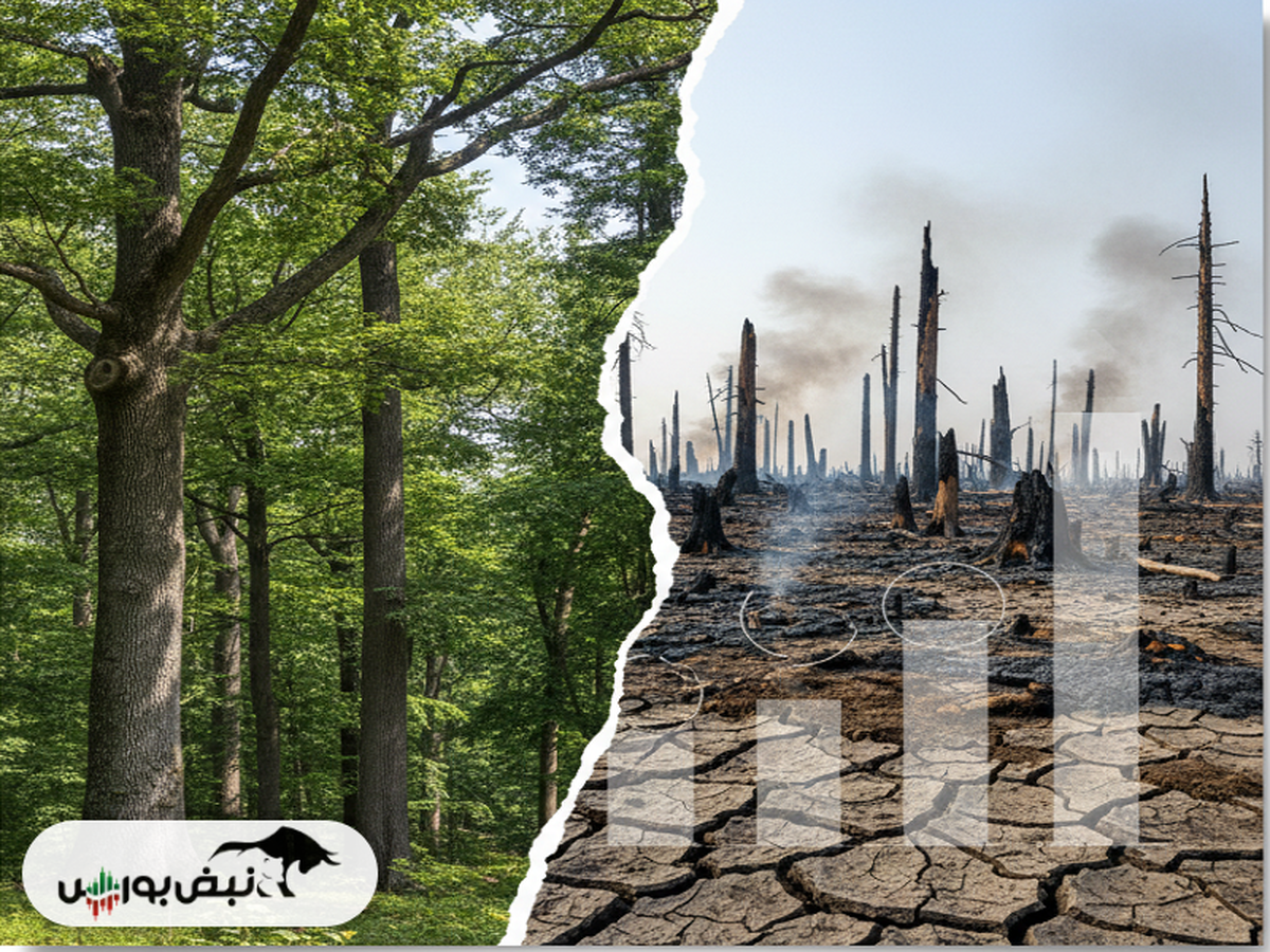 اقتصاد ایران زیر سایه آتش‌سوزی‌های هیرکانی: ۲ میلیون هکتار سرمایه، ۲ میلیارد دلار زیان