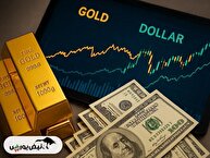 داغی بازار‌ها ادامه دارد؛ آذر ۱۴۰۴ با چه قیمتی تمام می‌شود؟