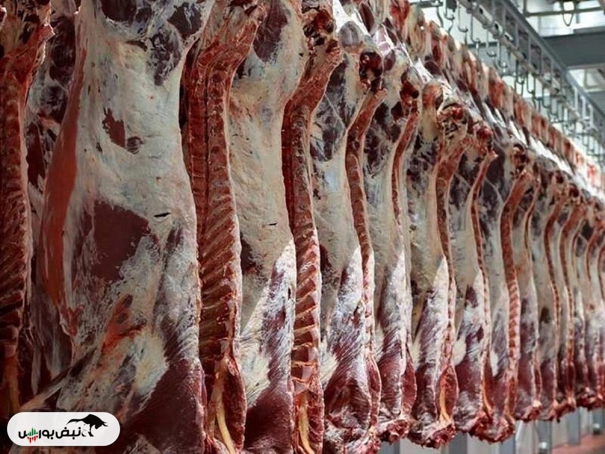 قیمت تمام شده گوشت ۶۰۰ هزار تومان است