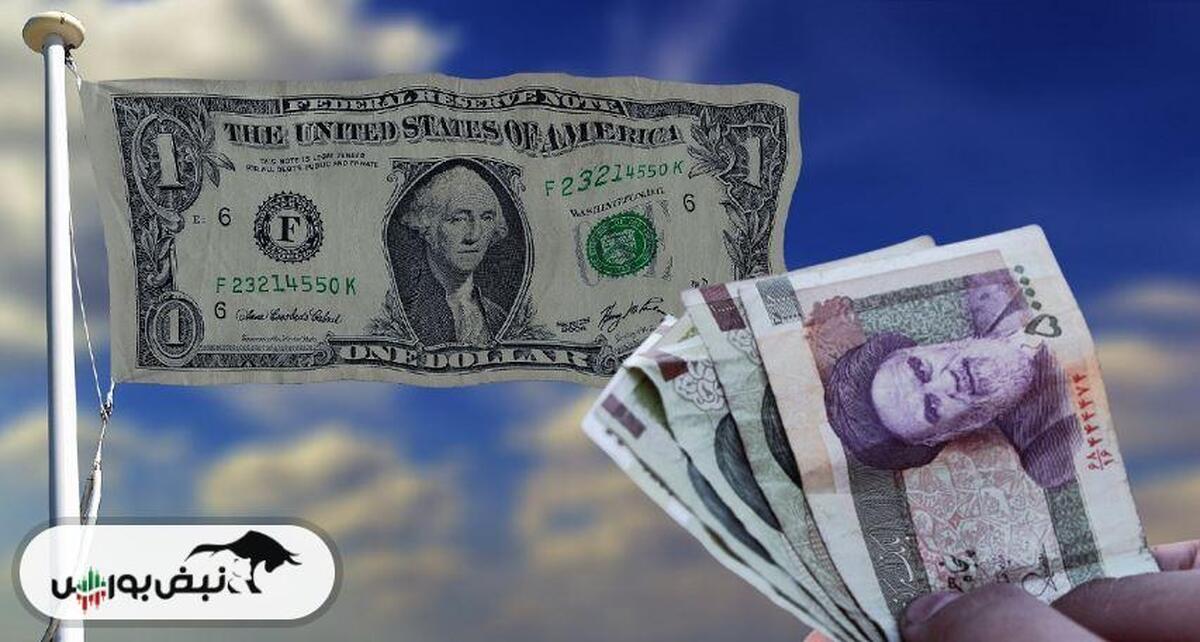 وقتی ریال اعتمادسوز می‌شود؛ زنگ خطر دلاریزه‌شدن اقتصاد ایران