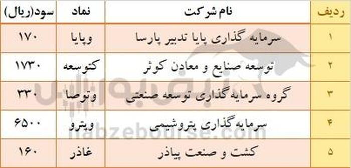 واریز سود ۵ نماد در هفته گذشته | سود ۶۵۰۰ ریالی نماد پتروشیمی واریز شد