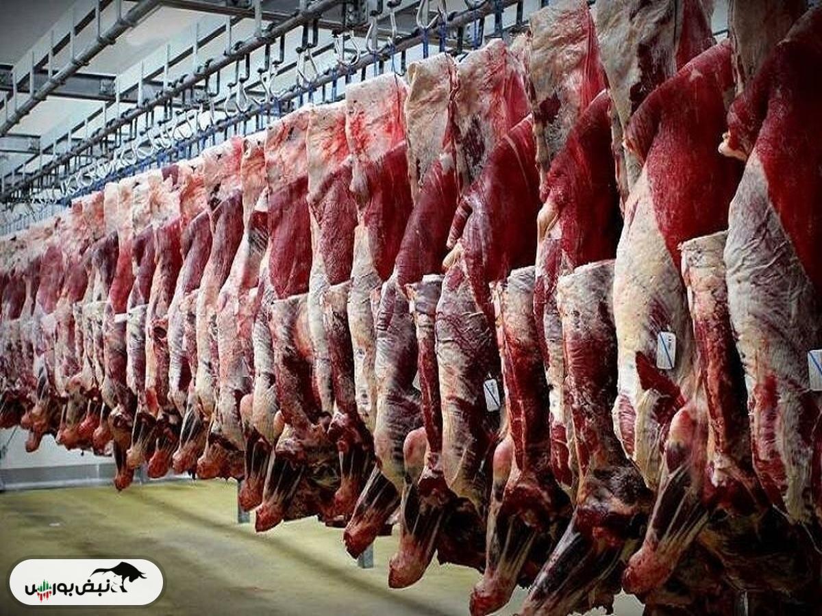 قیمت گوشت امروز ۴ آذر ۱۴۰۴