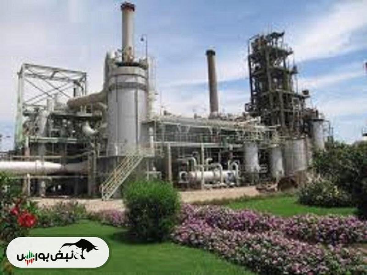 ۶۱ درصد رشد فروش این نماد نسبت به مدت قبل