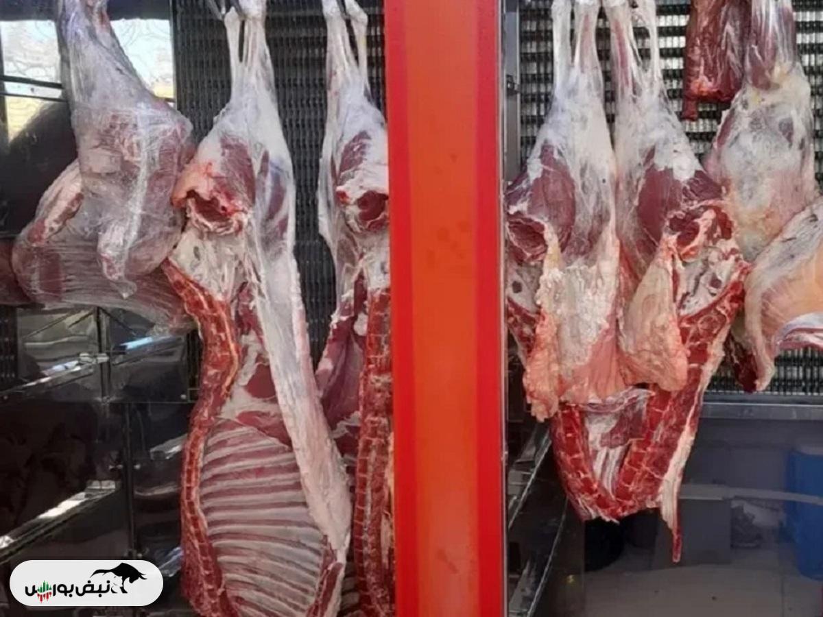 قیمت گوشت امروز ۵ آذر ۱۴۰۴