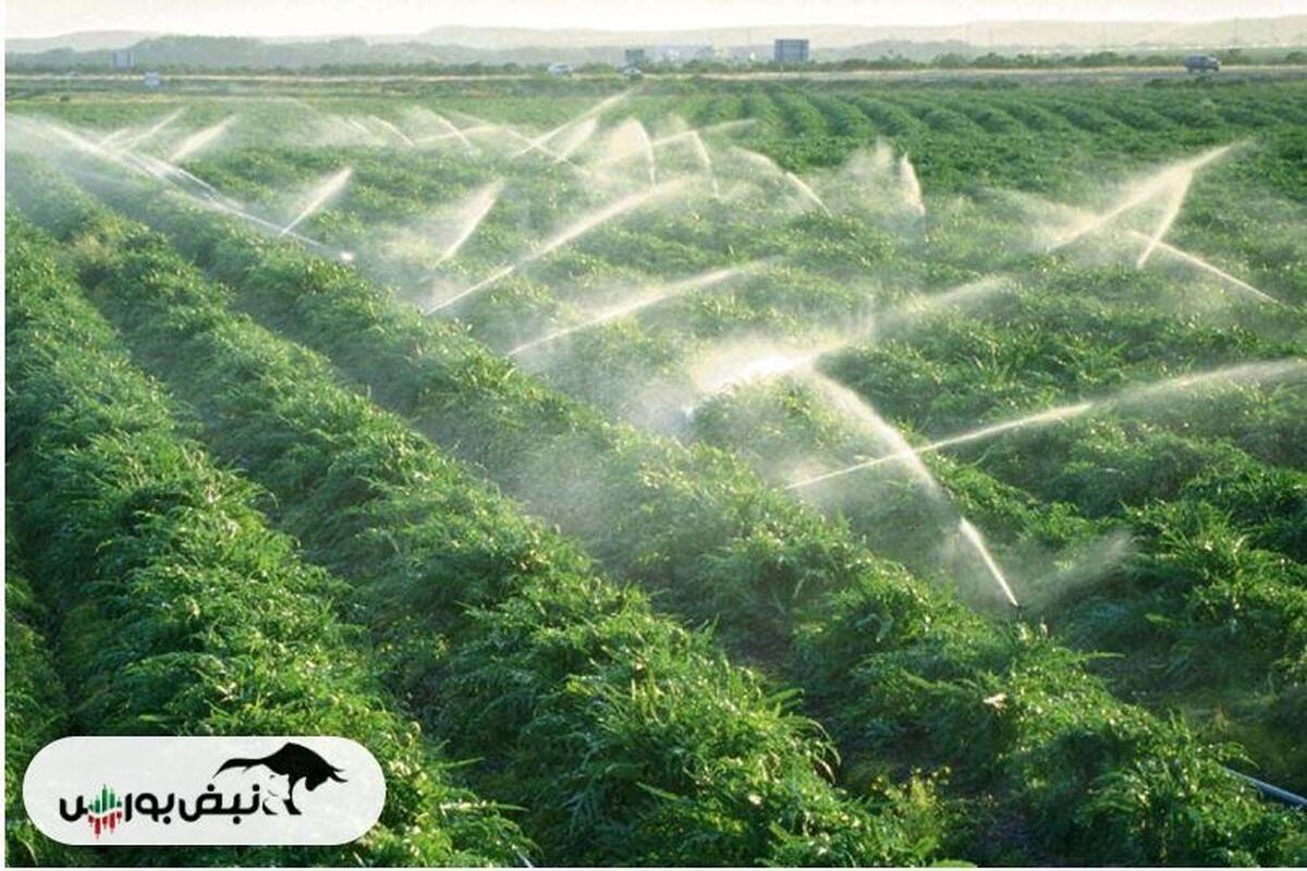 بحران آب زیر پوست مدیریت؛ چرا همیشه کشاورزی مقصر معرفی می شود؟