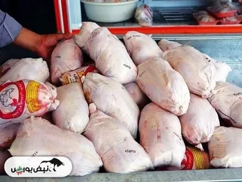 قیمت مرغ امروز یکشنبه ۲۶ بهمن ۱۴۰۴