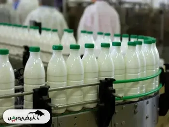 لبنیات ۵۰ درصد گران می‌شود!