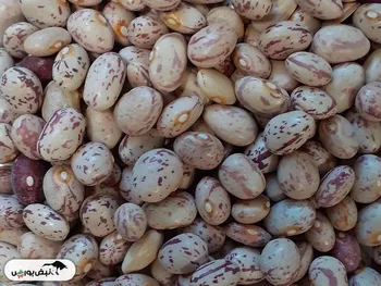 هر کیلو لوبیا چیتی ۴۰۰ هزار تومان