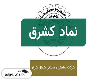 کارنامه مردودی مهدی پسرکلو در شرکت صنعتی و معدنی شمالشرق: شرکت از سود به زیان رسید
