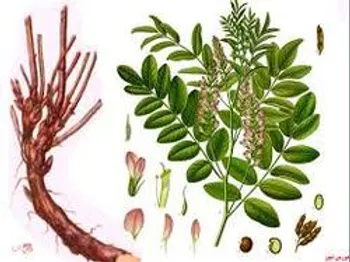 دریشمک سهامداران را به مجمع فراخواند