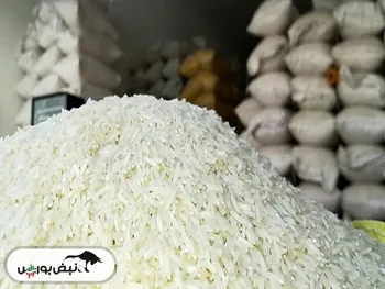 برنج وارداتی رکورد زد