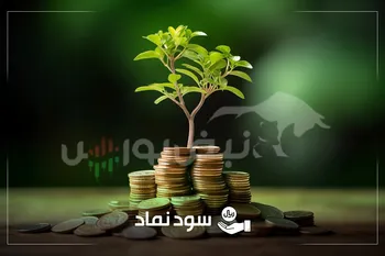 میزان و تاریخ پرداخت سود نمادهایی که هفته گذشته مجمع داشتند | سود چند نماد در اسفند واریز می شود