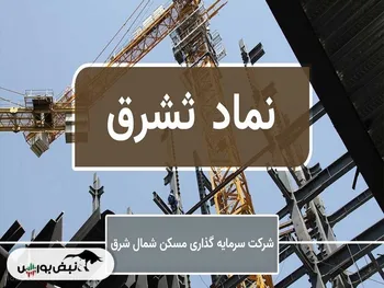 سهامداری که ۱۱ میلیون سهام ثشرق را دارد! | این فرد چه سهام دیگری در پرتفو دارد؟