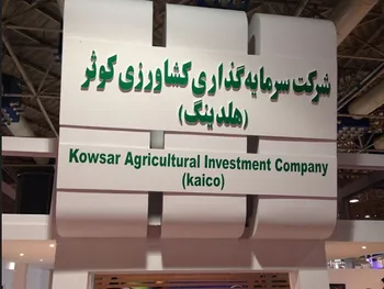 افشای اطلاعات باعث توقف این نماد شد