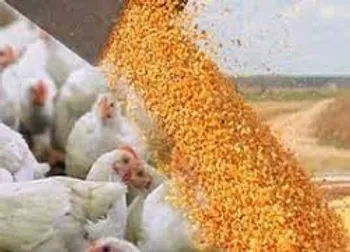 بازگشایی حداکثر تا ساعت ۱۰ در این نماد