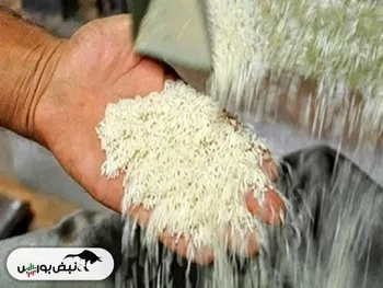 ورود مجلس به موضوع کمبود برنج