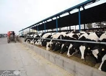 این نماد در وضعیت سفارش گیری قرار می گیرد