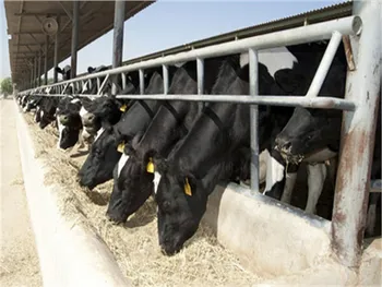 دلیل توقف زشگزا چیست؟