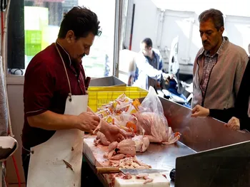 متوسط قیمت مرغ در خرده فروشی‌ها به ۳۲۰ هزارتومان رسید