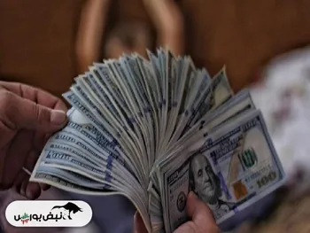 خداحافظی با دلار نیمایی