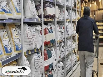 آغاز توزیع گسترده برنج تنظیم بازاری