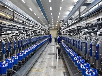 نخریس در عملکرد ۱۲ ماهه چقدر سود محقق کرد؟