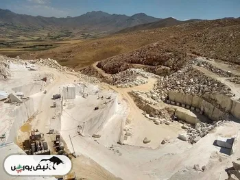 کتوسعه و فسخ قراردادهای دانه‌بندی! | چرا شرکت فرعی به تعهدات خود پایبند نبود؟!