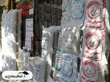 قیمت جدید انواع برنج پاکستانی ۲۵ بهمن ۱۴۰۴