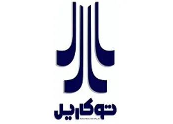 رشد ۱۴۱ درصدی سود توریل