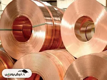 کدال فافق | سهامدارانش چقدر سود گرفتند؟