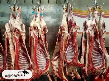 آیا قیمت فعلی گوشت قرمز در بازار واقعی است؟