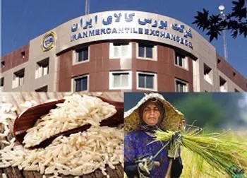 چگونه از بورس کالا برنج بخریم؟ + جزئیات و قیمت